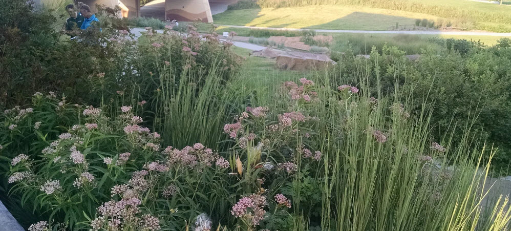 Nebraska Statewide Arboretum, United States